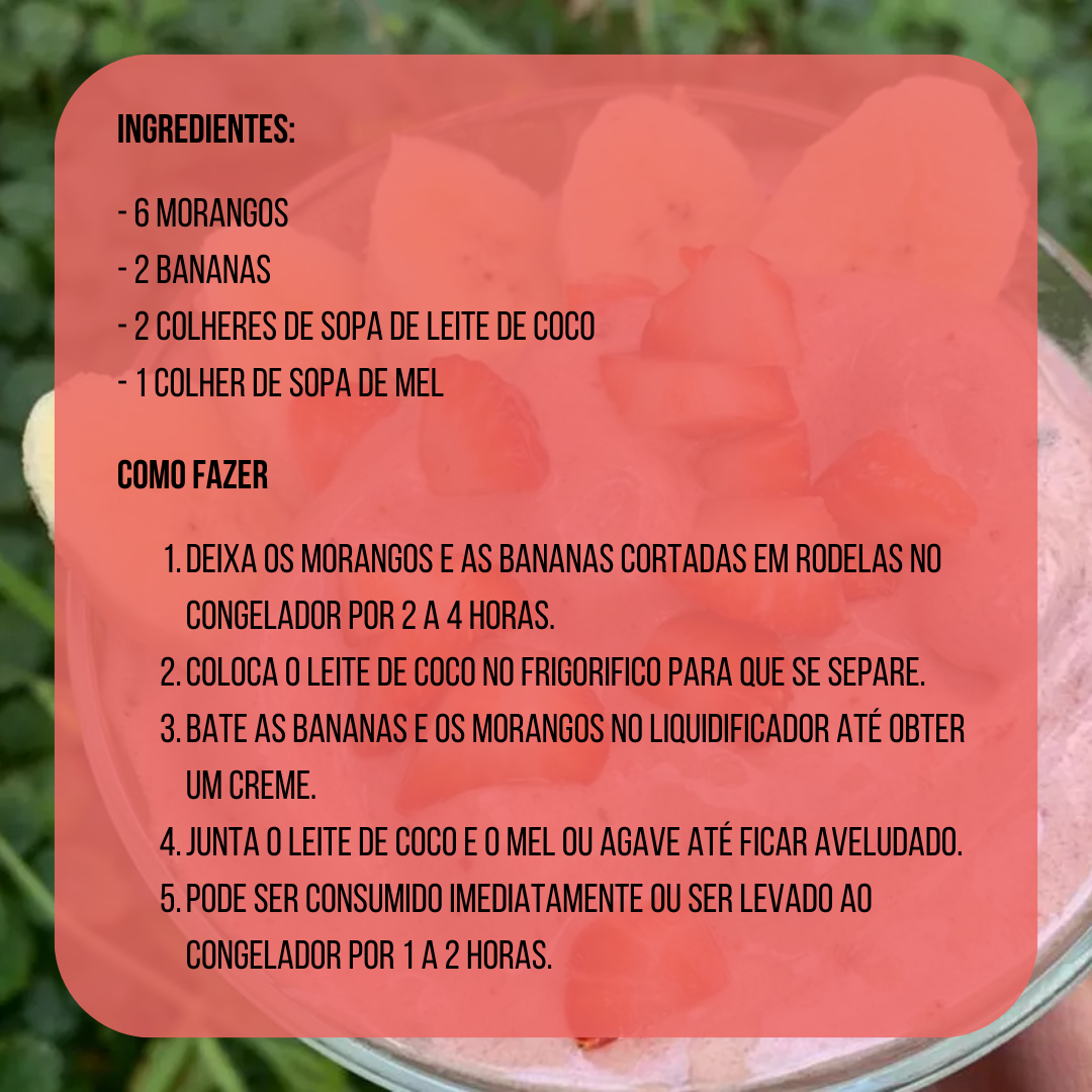 Batido Mocha e Chocolate com Hortelã Pimenta Herbalife PortugalHerbal