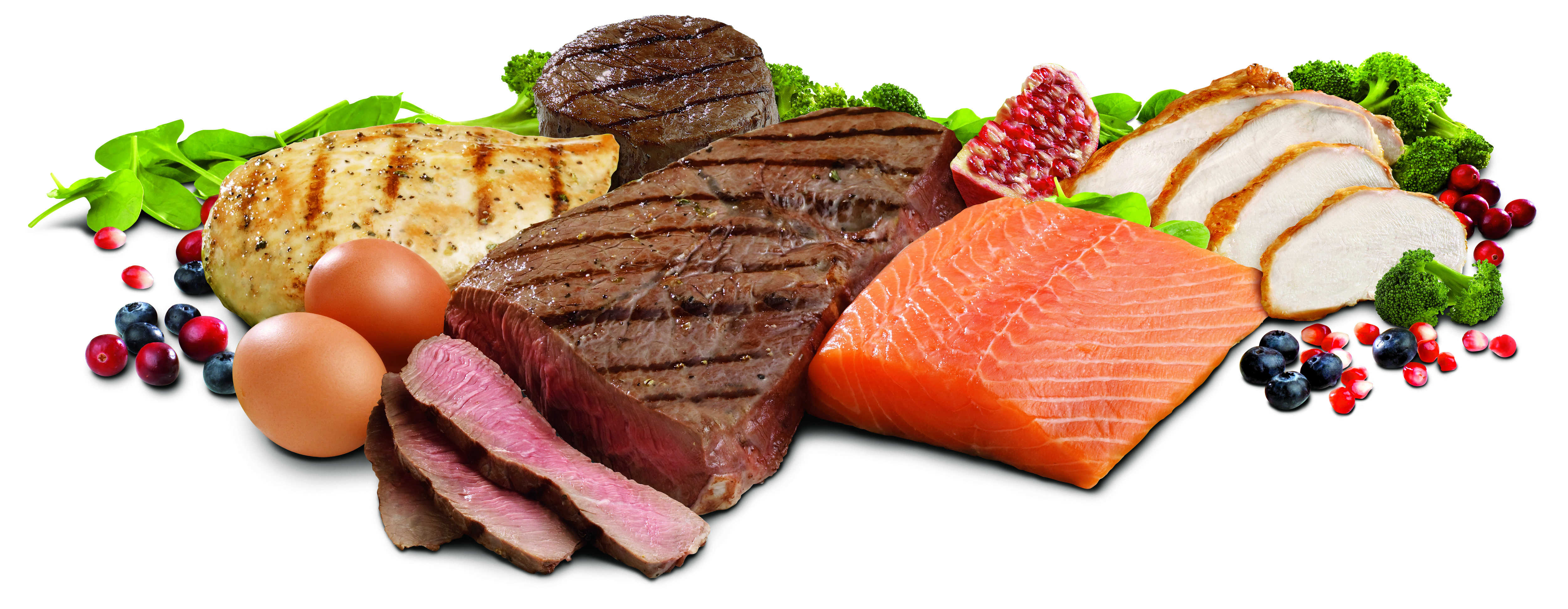 O que é a proteína e porque precisamos dela?