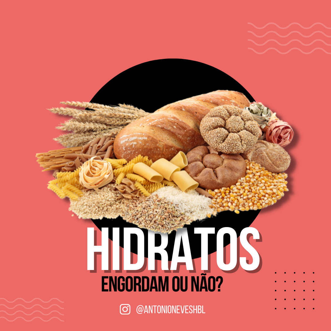 Hidratos de Carbono Engordam ou Não