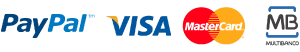 visa logo 1